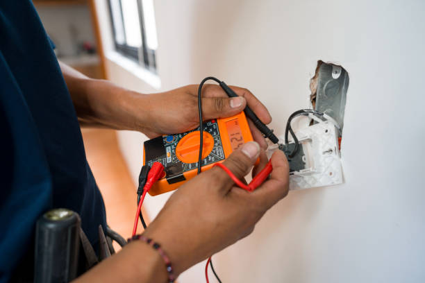 Best Electrical System Inspection  in Belleville, MI