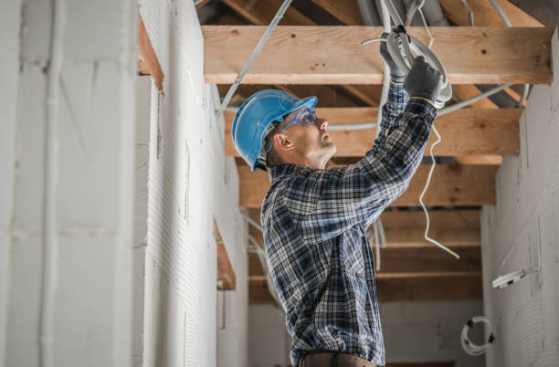 Best Electrician for Home Renovation  in Belleville, MI