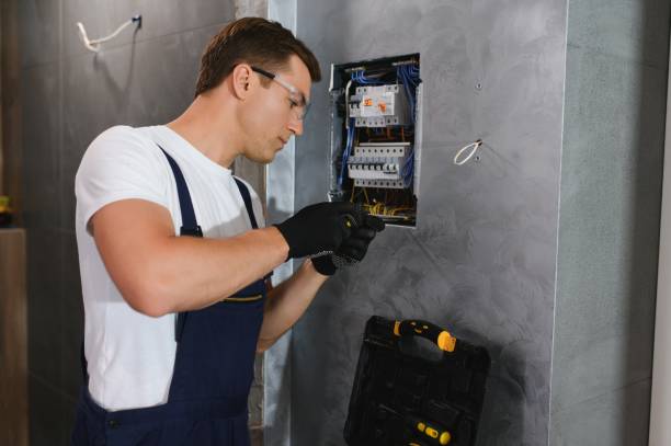 Best Electrical Upgrades for Homes  in Belleville, MI