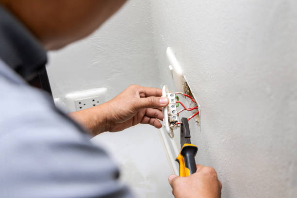 Best Generator Installation Services  in Belleville, MI